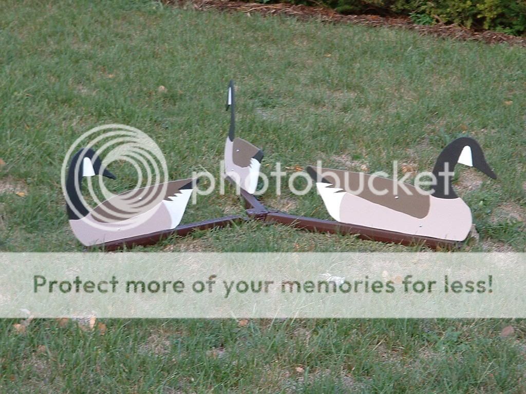 goose decoys? Refuge Forums