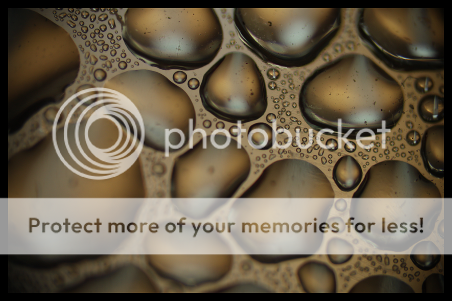IMG_1184.png