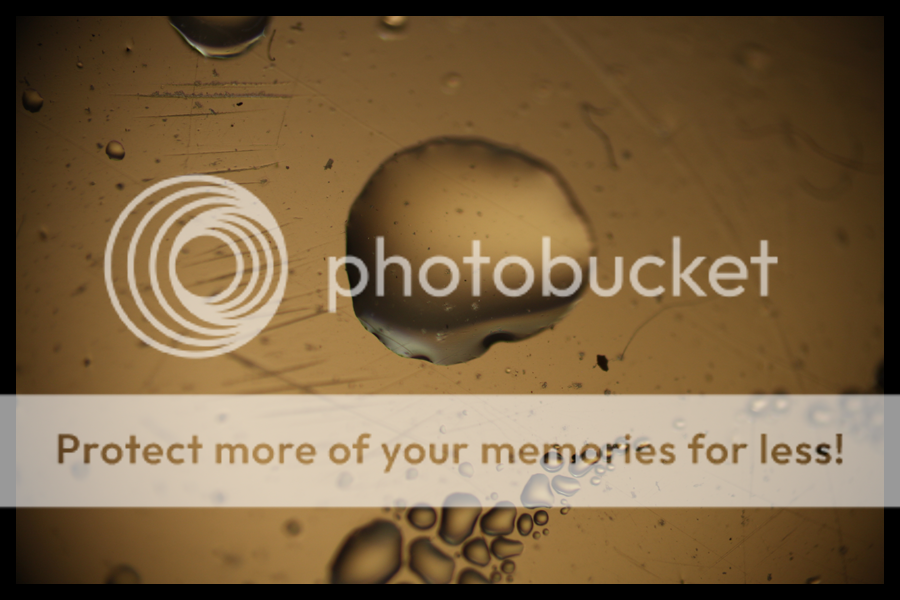 IMG_1189.png