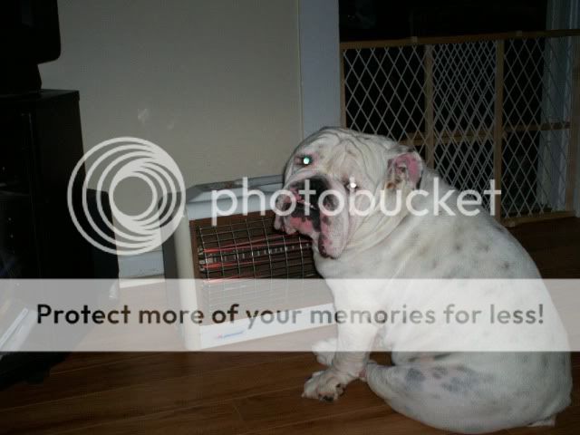 [linked image]