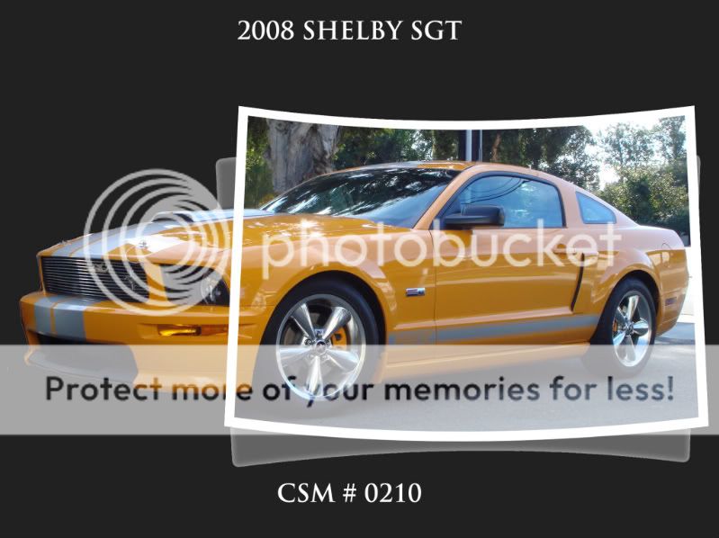 Posted Image