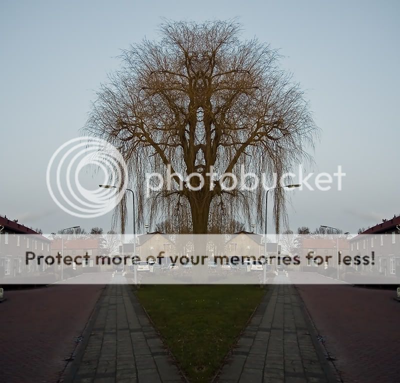 Fotografie