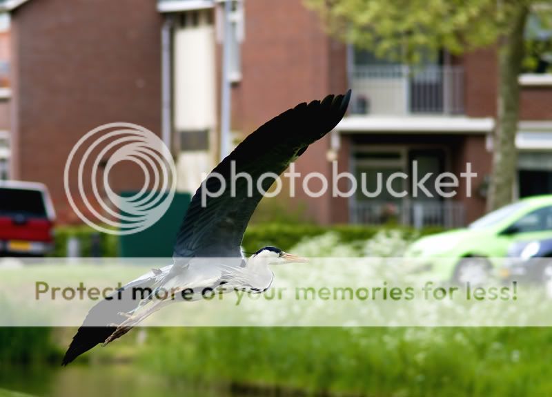 Fotografie