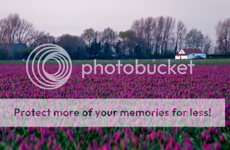 Fotografie