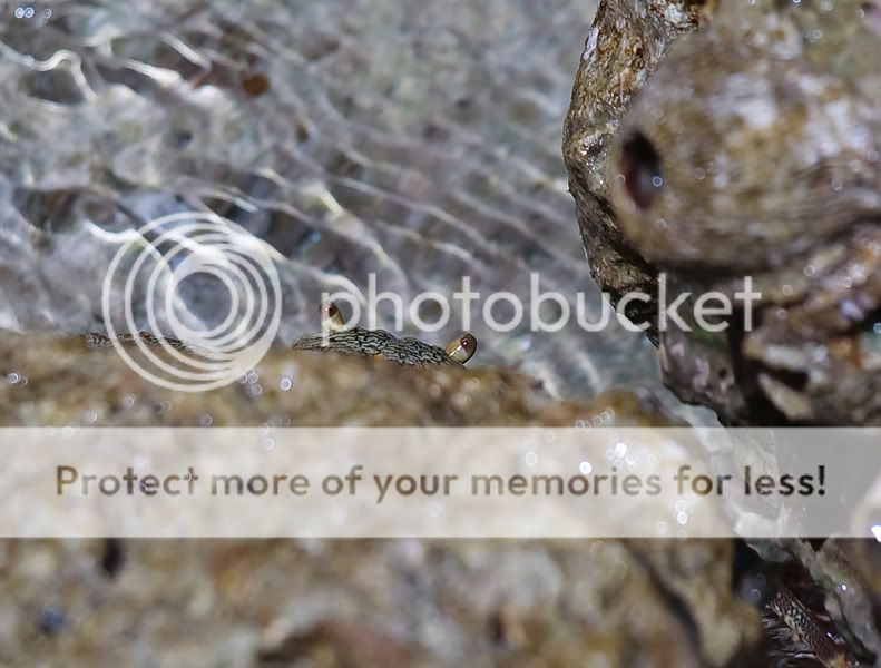 Fotografie
