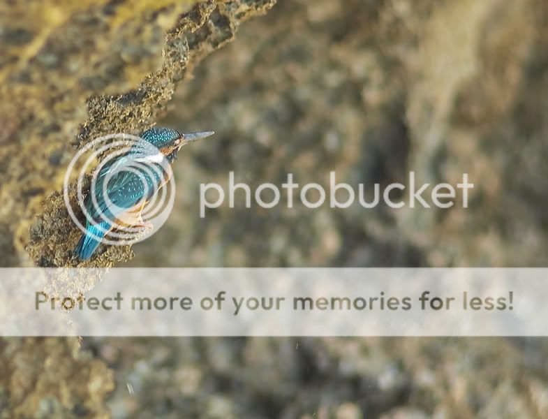 Fotografie