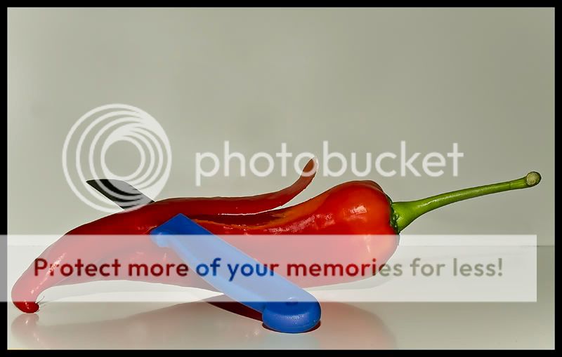 Fotografie