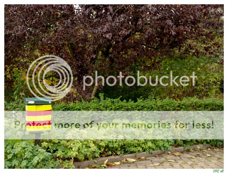 Fotografie
