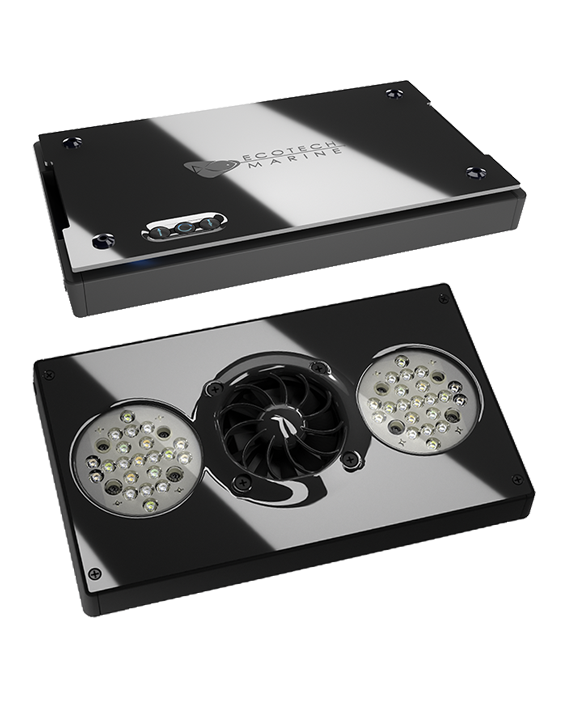 ecotech radion or ati
