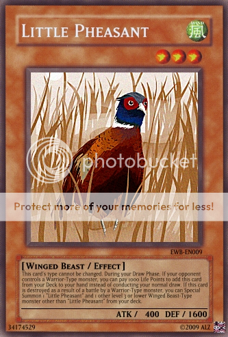 EWB-EN009-Little-Pheasant-CARD.png