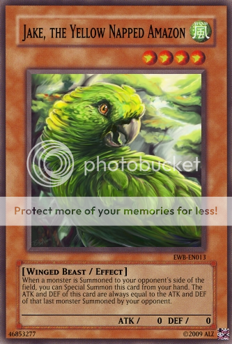 EWB-EN013-Jake-the-Yellow-Naped--1.png