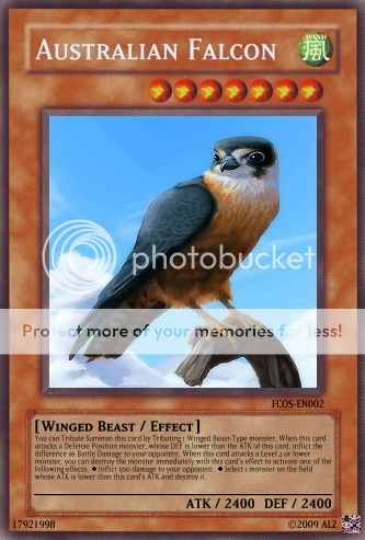 FCOS-EN002-Australian-Falcon-CARD.png