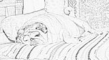 PugPencil.jpg Pug Photoshop Pencil Sketch image by Azure_Griffon