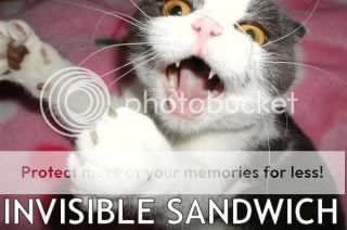 cat.jpg invisible sandwitch image by hulagurl2054