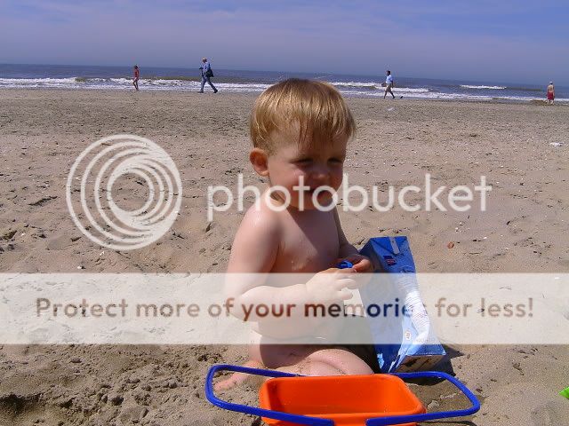 BILD3206.jpg