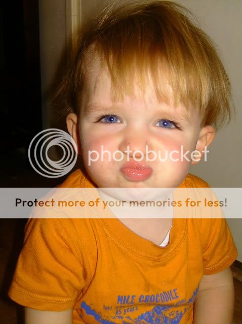 BILD3344-1.jpg