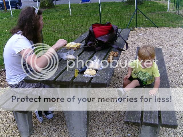 BILD3358.jpg