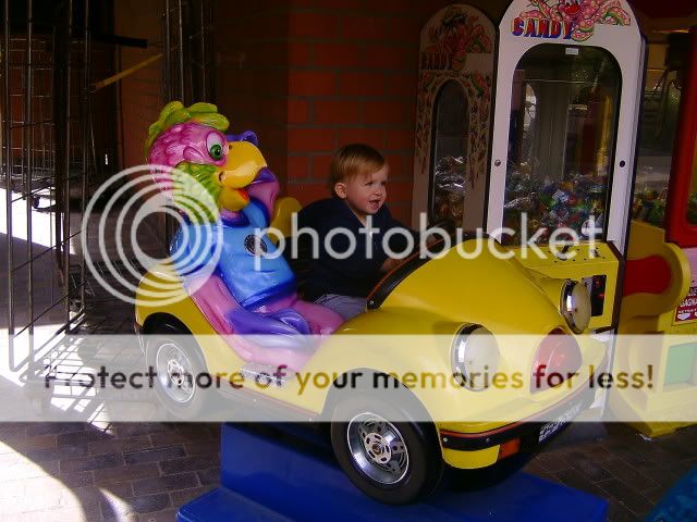 BILD3409.jpg