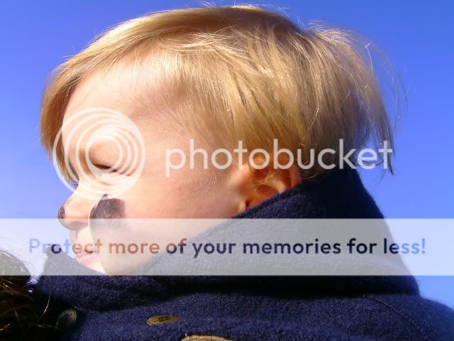 BILD3513.jpg