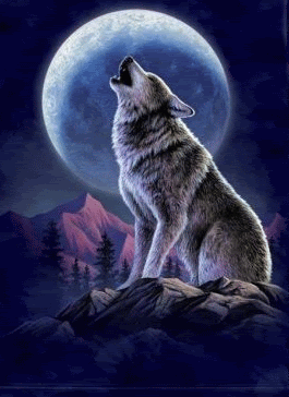 free online personals in lone wolf Lone wolf male (61) looking 100% free basic membership allows you to browse the site, native american personals is part of the online connections dating. free online personals in lone wolf Lone wolf male (61) looking 100% free basic membership allows you to browse the site, native american personals is part of the online connections dating.
