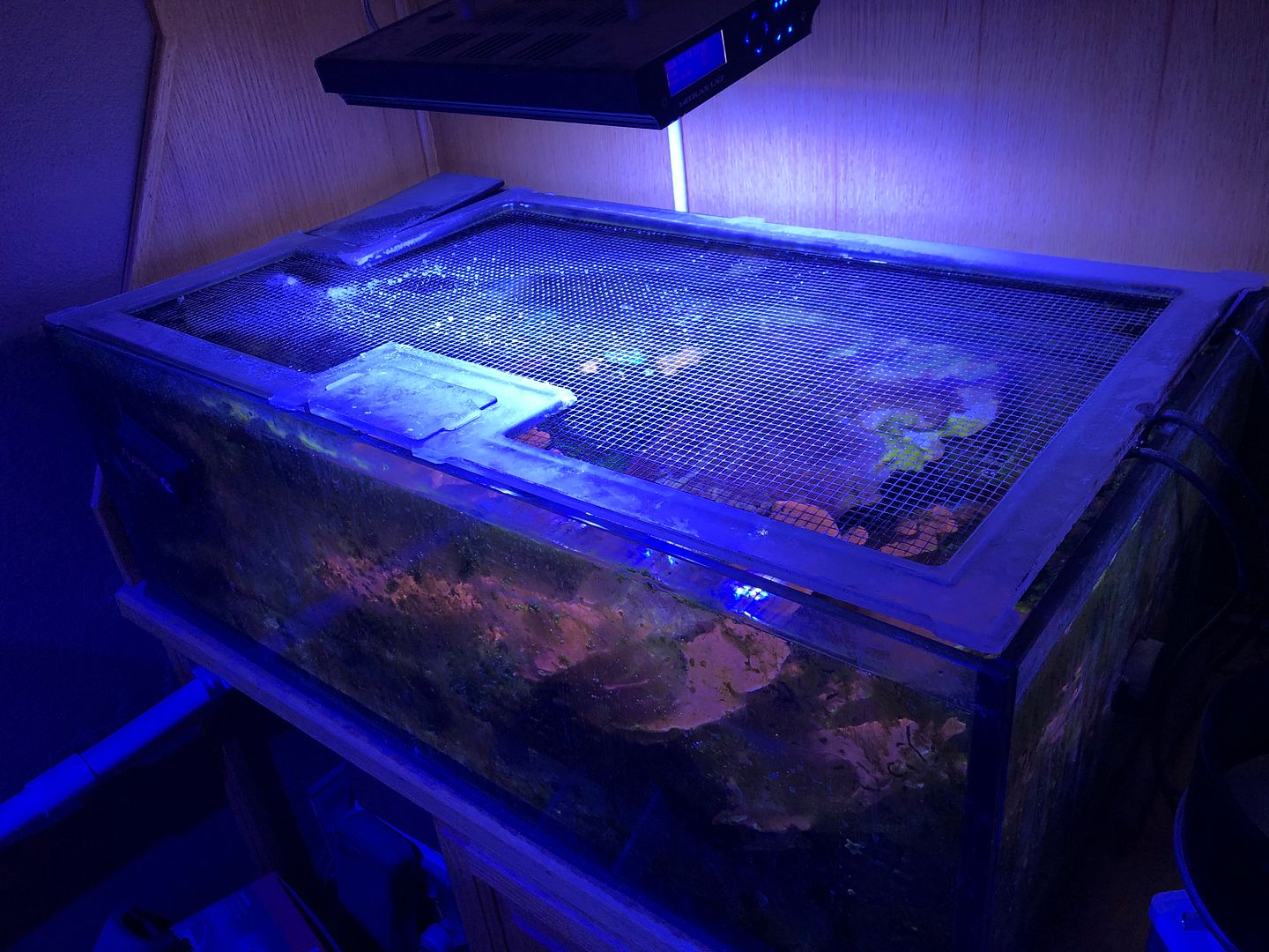 Custom Rimless Frag Tank 36”x20”x12” with Artfully Acrylic screen cover